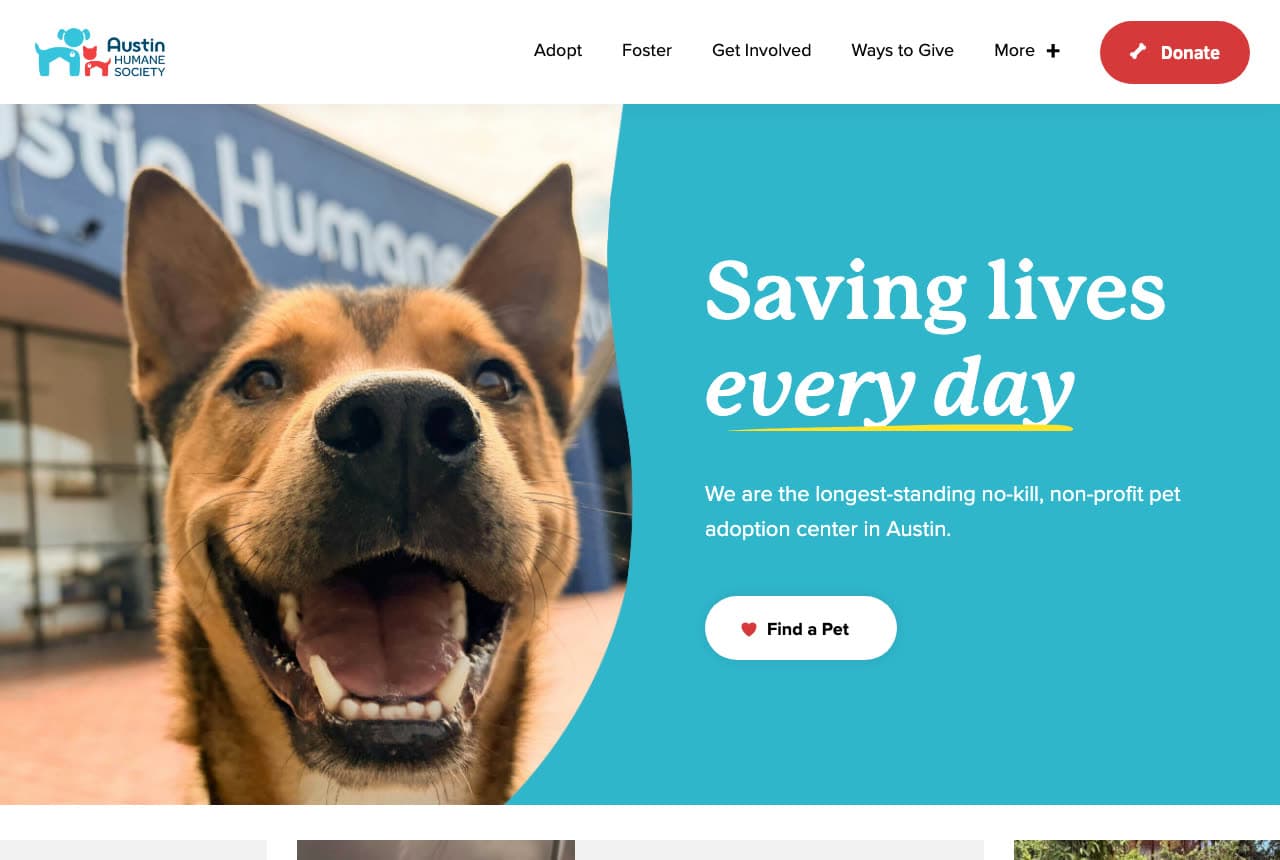 The Best Animal Rescue Website Examples, Explained — example