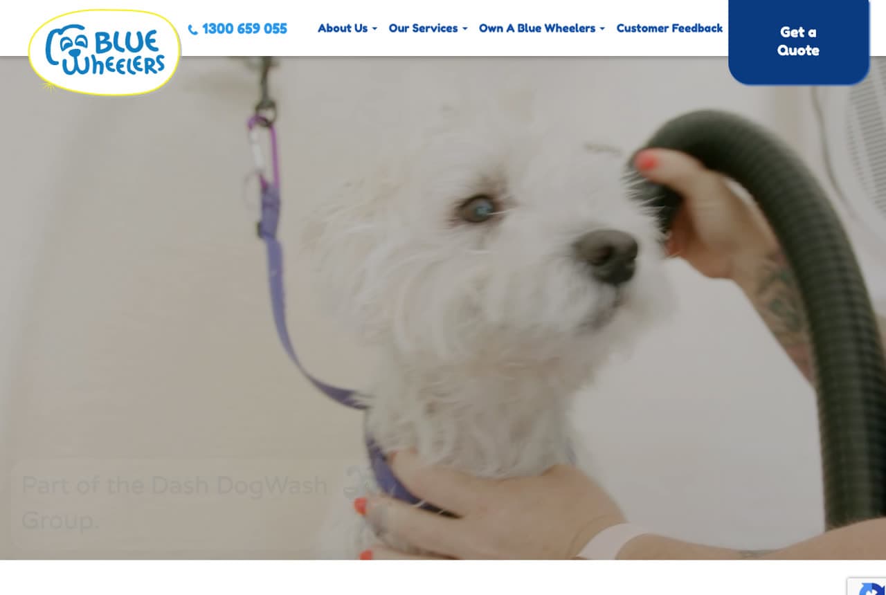 Blue Wheelers website — Dog Grooming design example