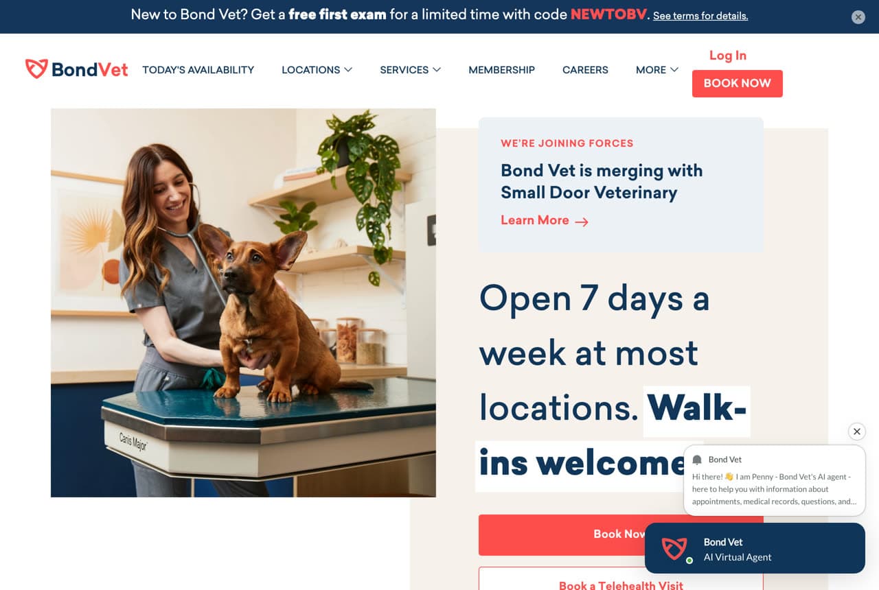 Bond Vet website — Veterinarian design example