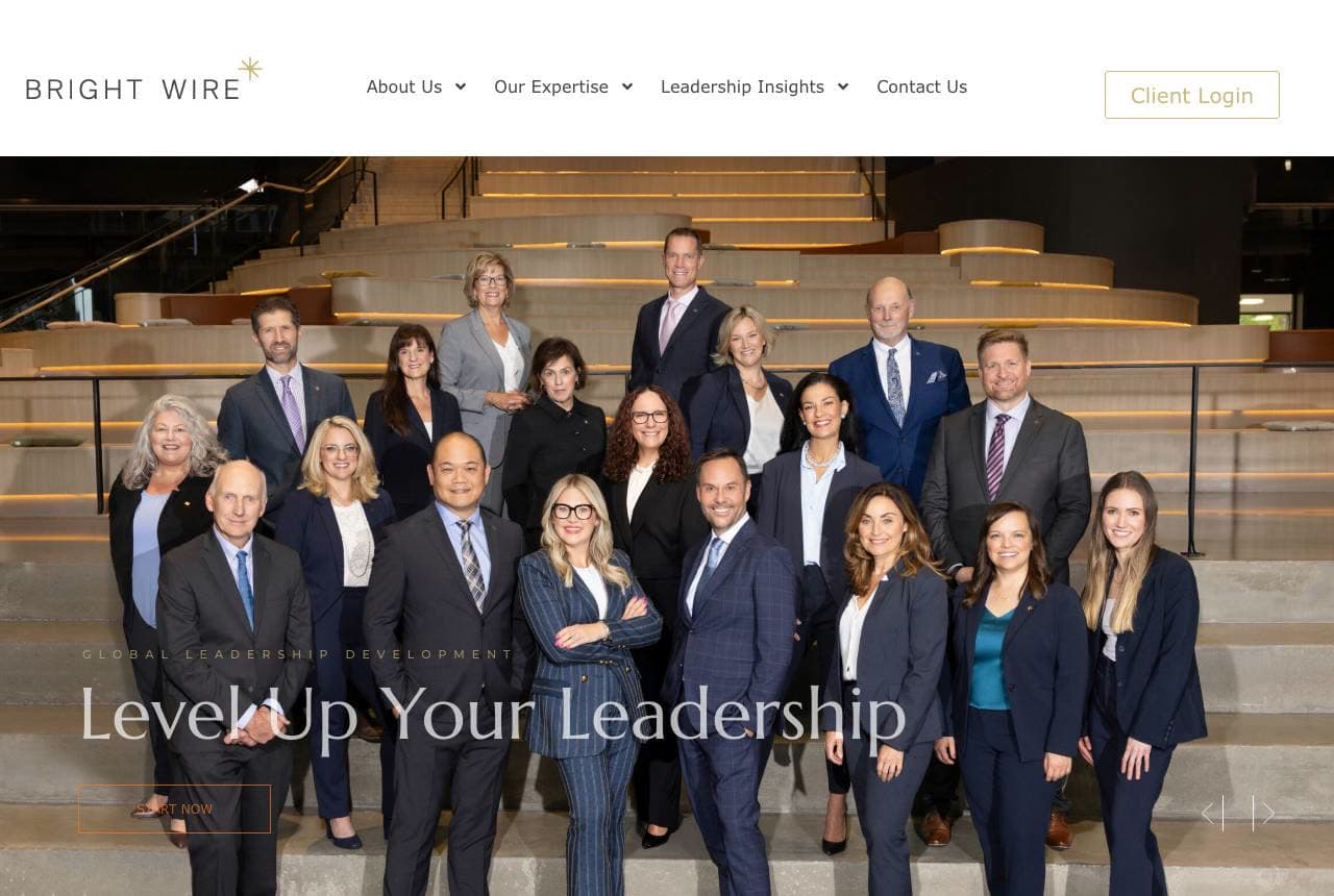 Bright Wire website — Leadership Development design example