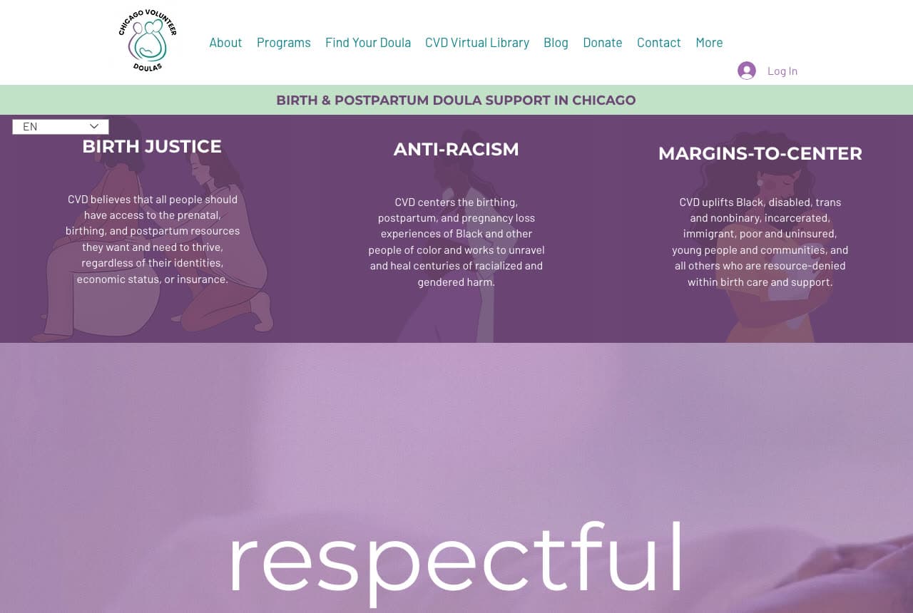 Chicago Volunteer Doulas website — Volunteer Doula Collective design example