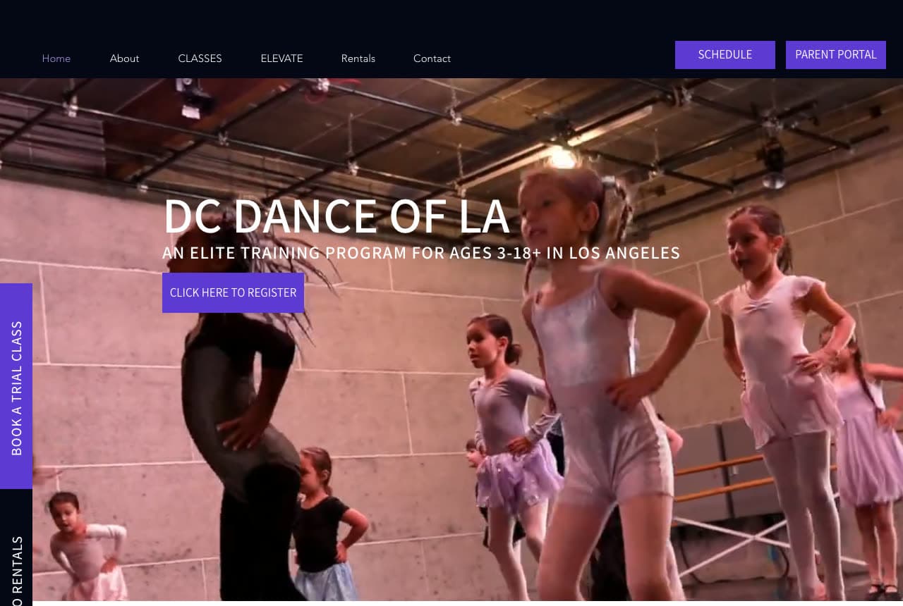 DC Dance of LA website — Training Program design example