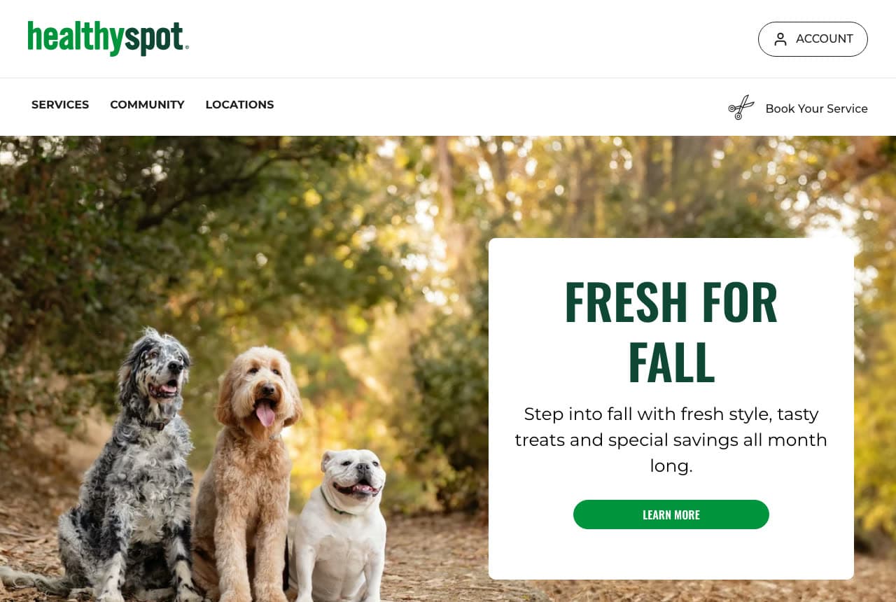 The Best Pet Store Website Examples, Explained — example