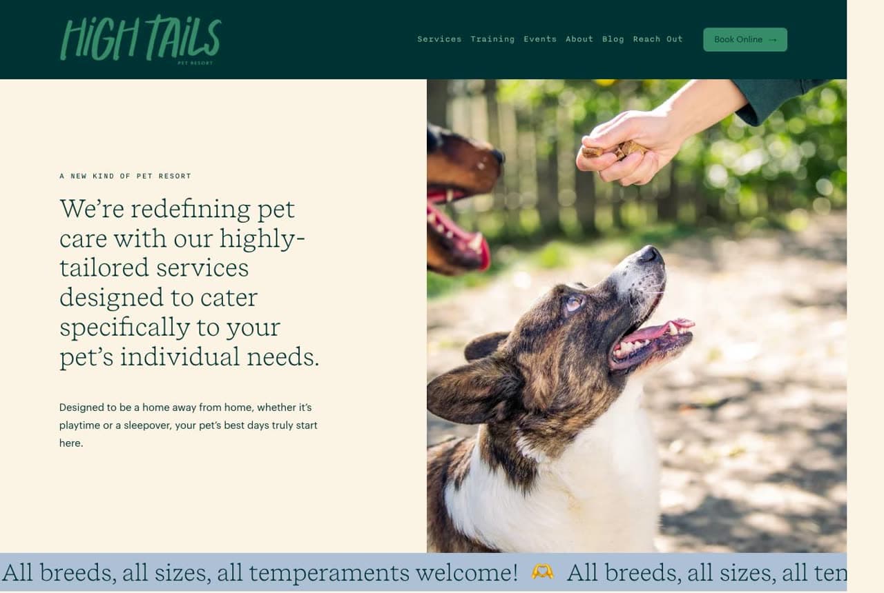 High Tails website — Boutique Pet Resort design example