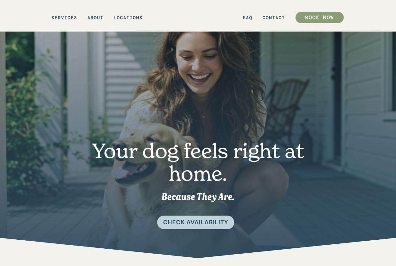 HydroDog website — Mobile Grooming design example