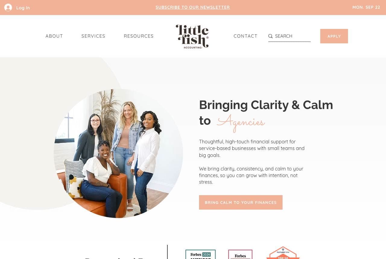 Little Fish Accounting website — Boutique CPA Firm design example