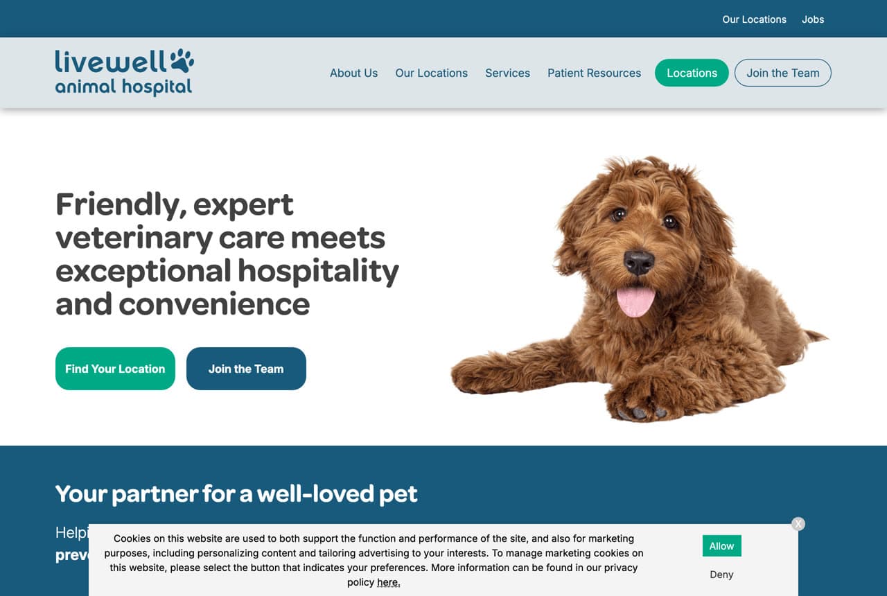 Livewell Animal Hospital website — Veterinarian design example