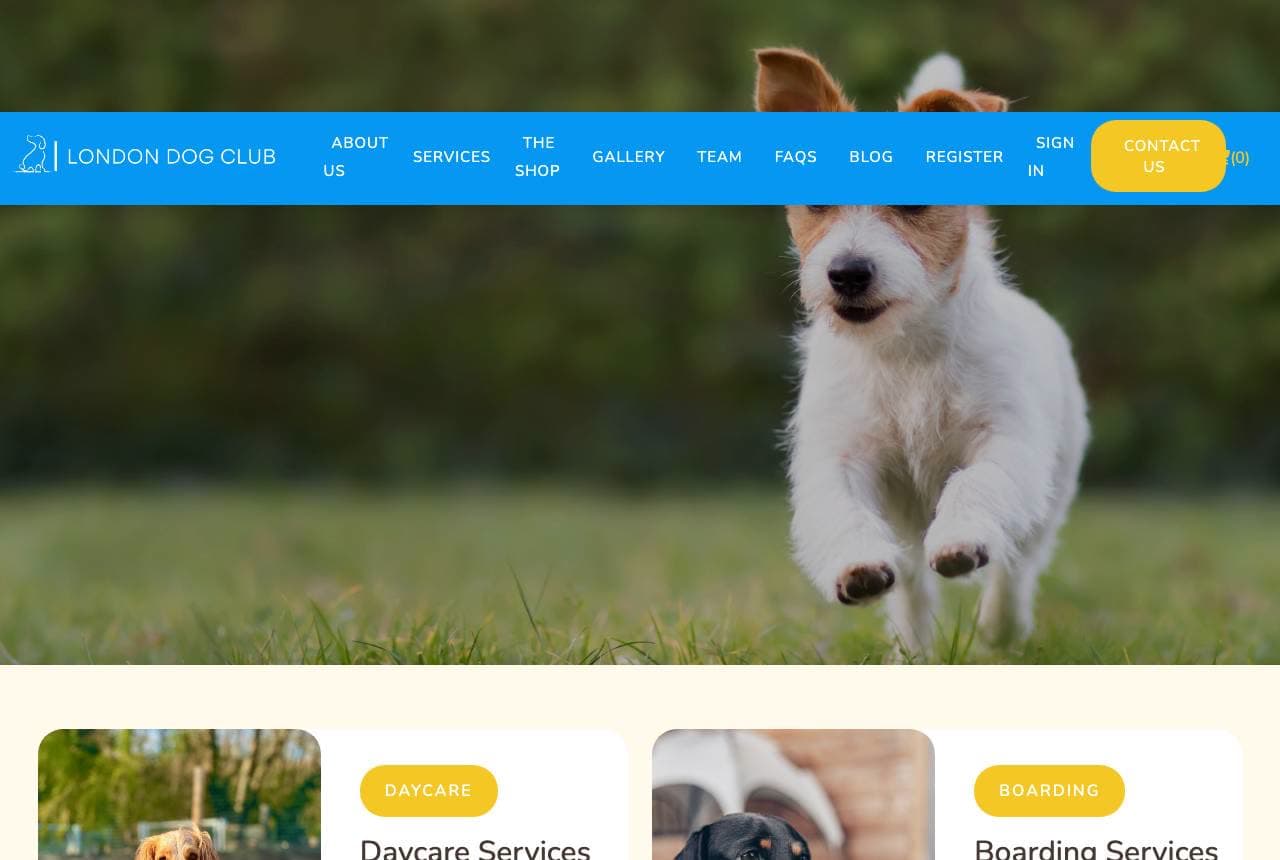 London Dog Club website — Dog Daycare design example