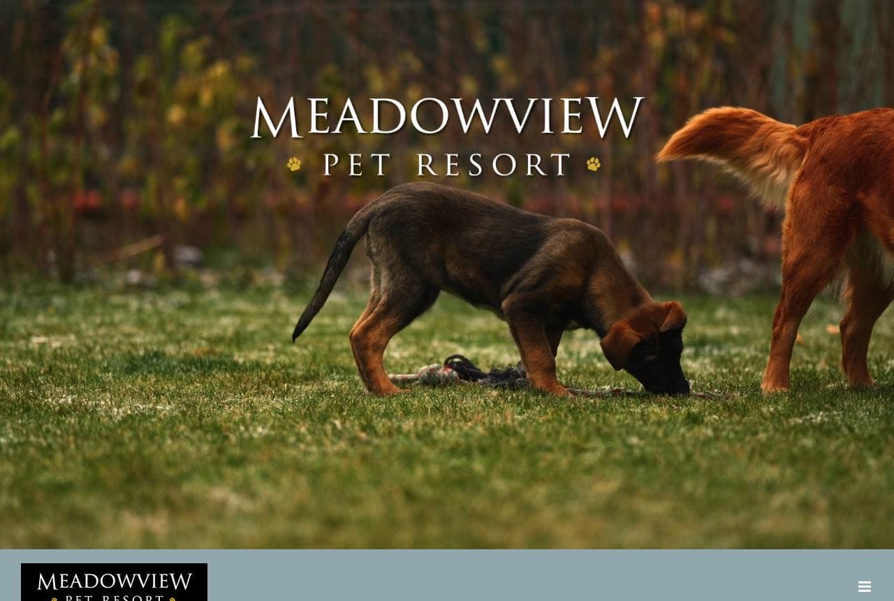 Meadowview Pet Resort website — Pet Resort design example