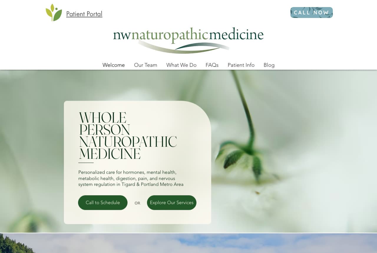 NW Naturopathic Medicine website — Naturopathic Practice design example
