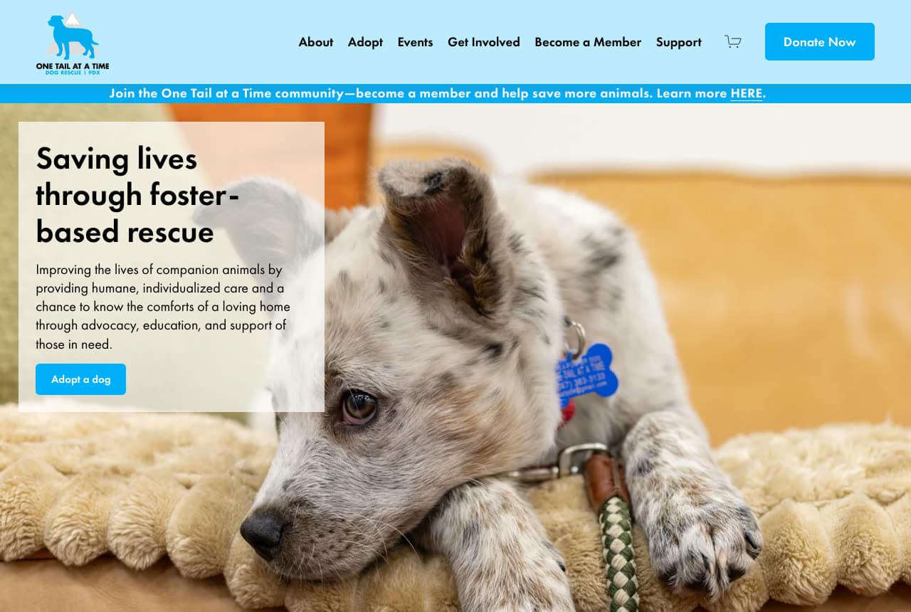 One Tail at a Time website — Foster-Based Dog Rescue design example