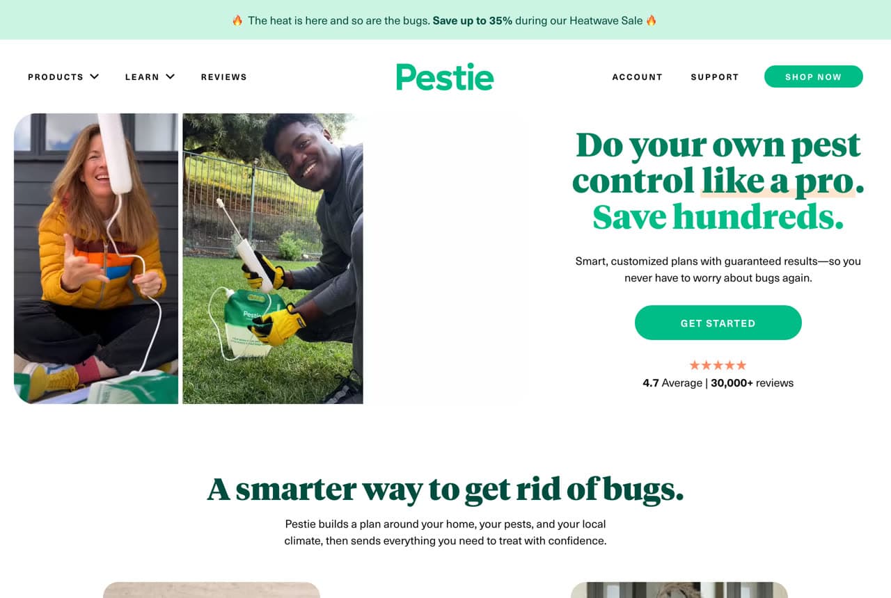 The Best Pest Control Website Examples, Explained — example