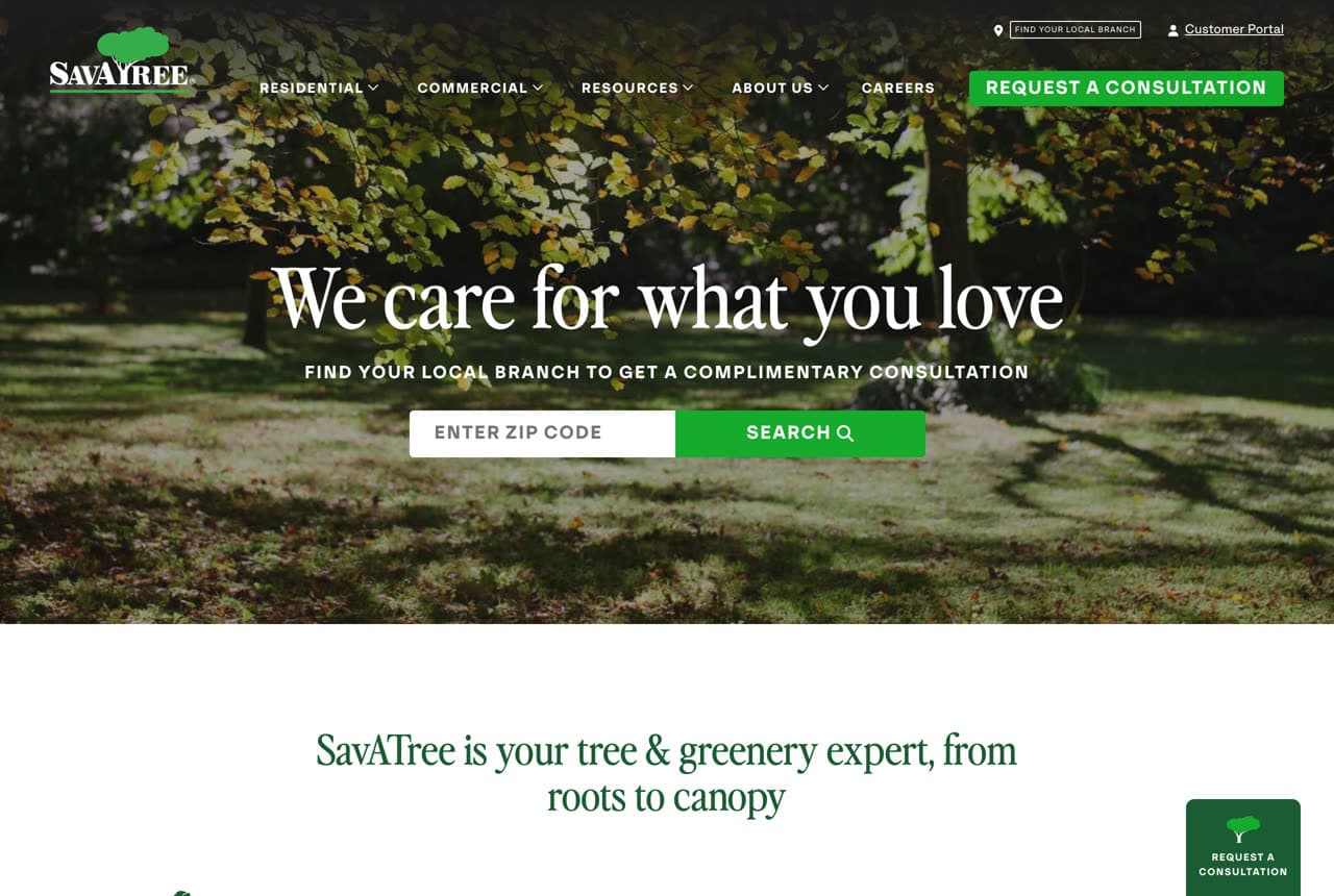 The Best Tree Service Website Examples, Explained — example