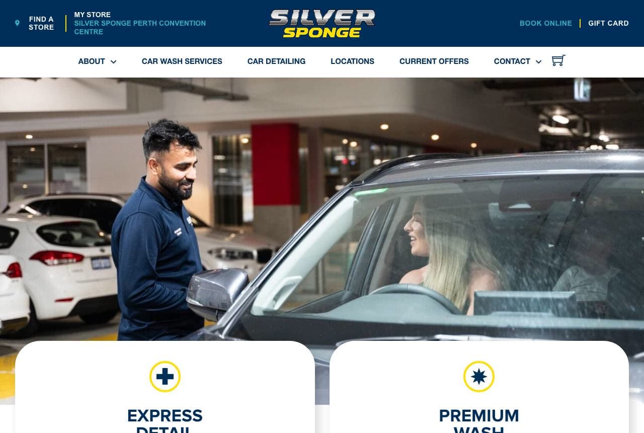 Silver Sponge website — Wash + Detail design example