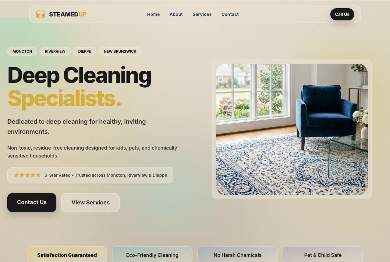 Steamed Up website — Eco Cleaning design example