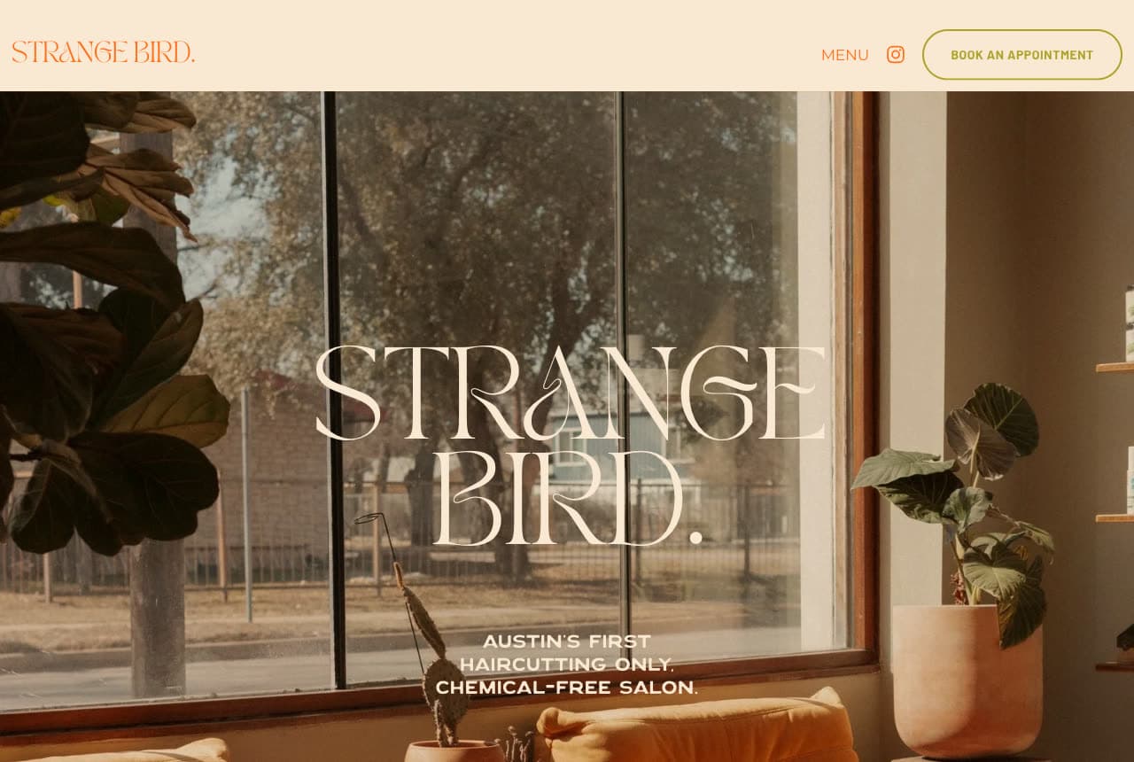 The Best Salon Website Examples, Explained — example