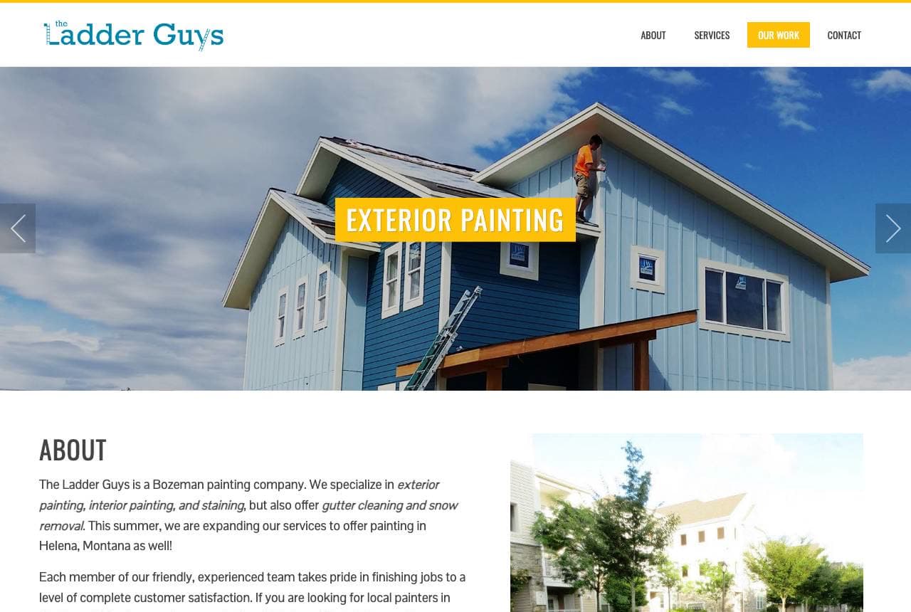 The Ladder Guys website — Local Painters design example
