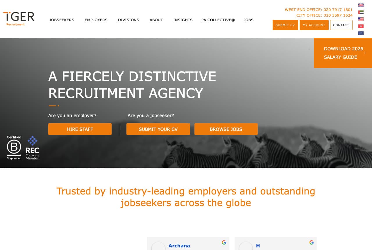 Tiger Recruitment website — Recruitment Agency design example