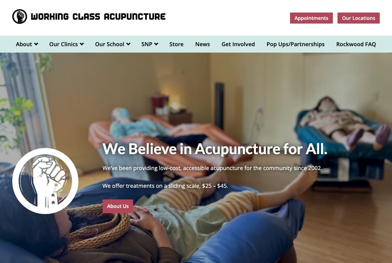 The Best Acupuncture Website Examples, Explained — example