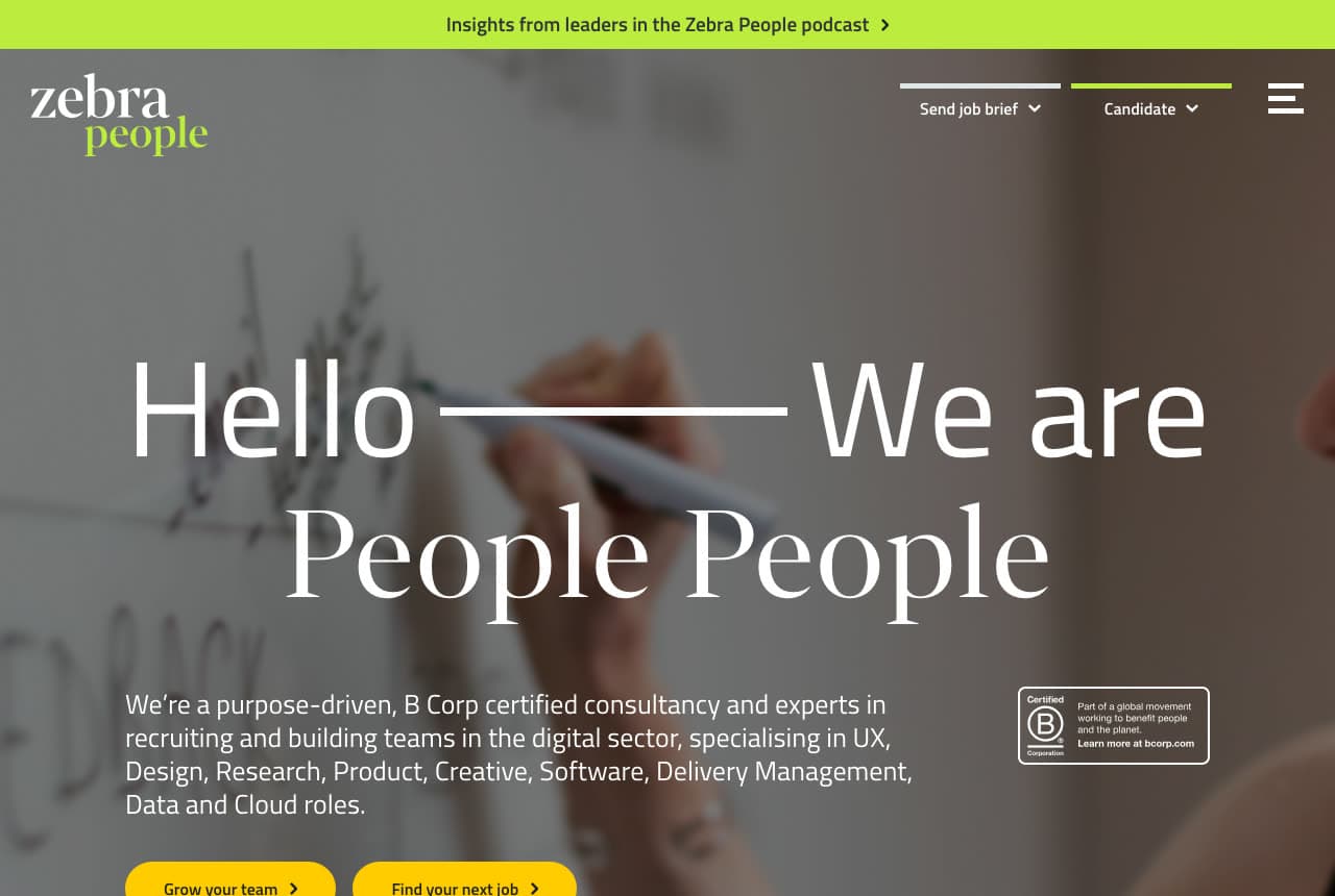 Zebra People website — Digital Recruiter design example