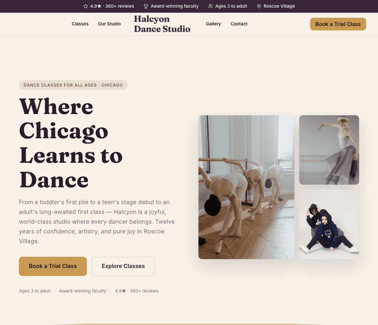 Halcyon Dance Studio — Dance Studio Template website design you can build with Zarla