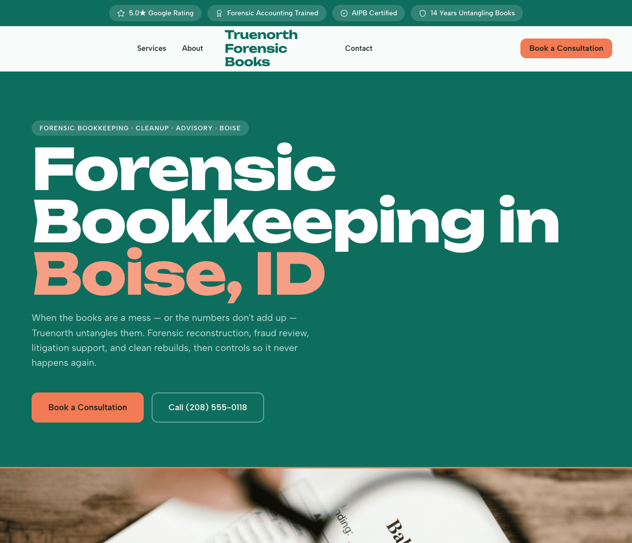Truenorth Forensic Books — Forensic Bookkeeping website design you can build with Zarla