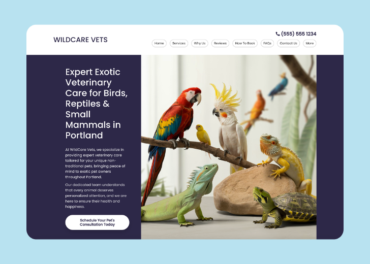 Revive Detailing landing page with the tagline 'Elevate the appearance and condition of your vehicle with Revive Detailing' with a picture of a shiny red car