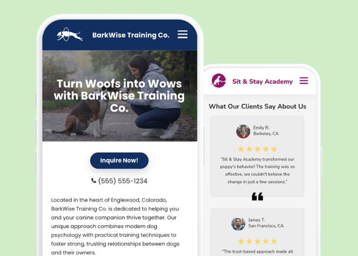 Revive Detailing and Spotless Touch landing pages in two smartphones, side by side, showing mobile view of the websites