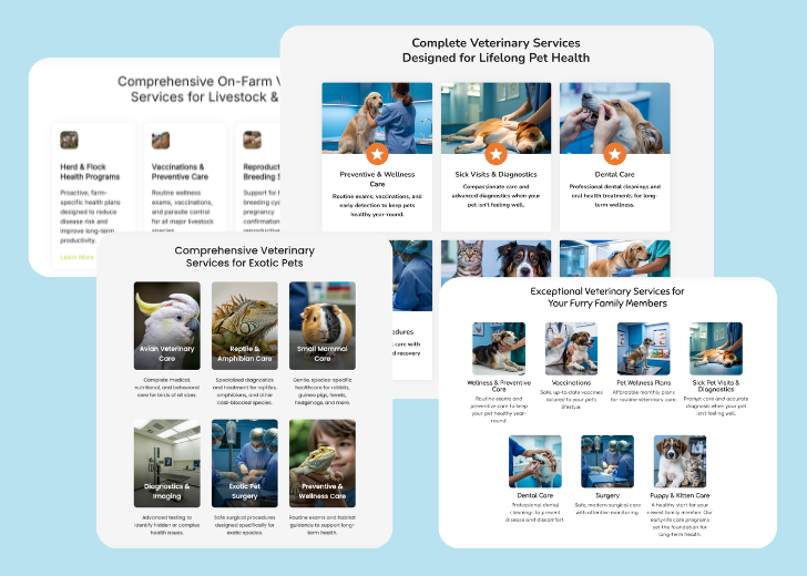A collage of services section generated by Zarla showing different styles of service items, all having a picture, a title, and a brief description