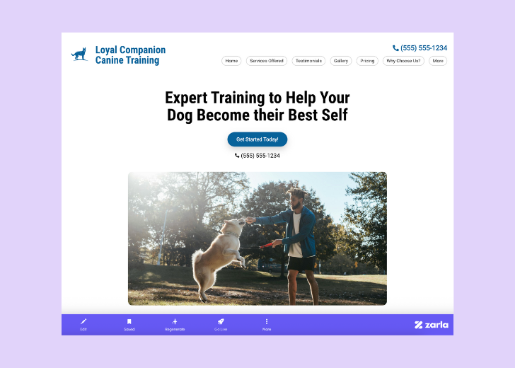 Screenshot of Zarla Editor's UI for selecting fonts and color palettes and uploading custom images