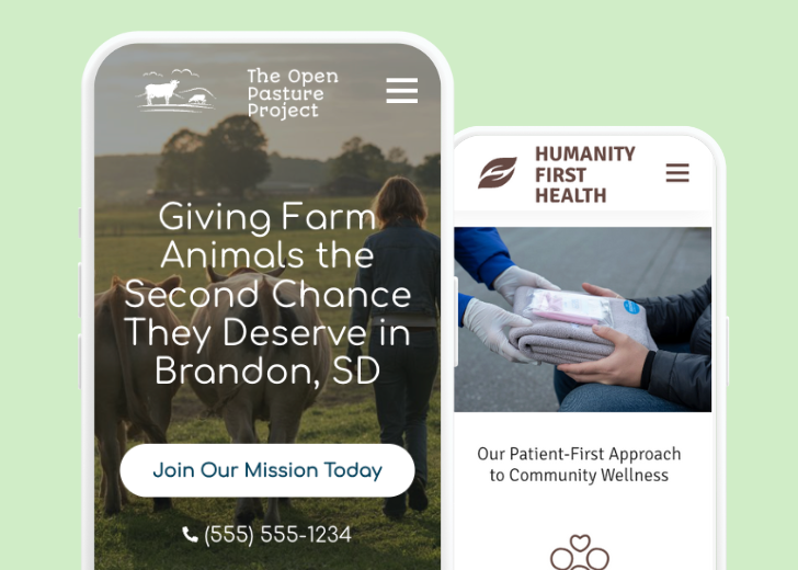 Revive Detailing and Spotless Touch landing pages in two smartphones, side by side, showing mobile view of the websites