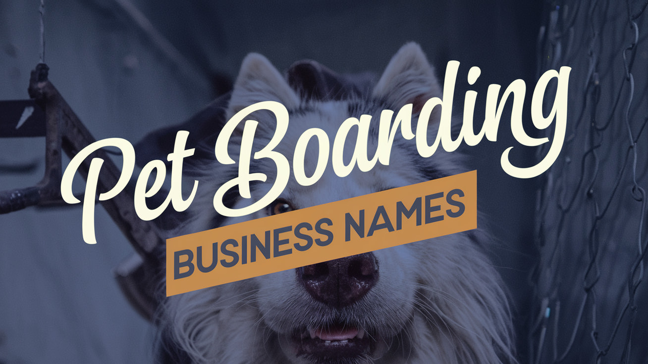 dog-daycare-names-915-best-doggy-daycare-name-ideas-list-generator