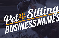 Pet sitting business name ideas created with Zarla