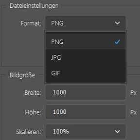Wählen Sie ein Dateiformat.