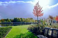 A lakeside garden that is maintained by a landscaping business.