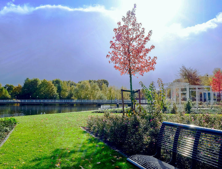 Landscaping Website Examples - 5 Sites That Grow Business