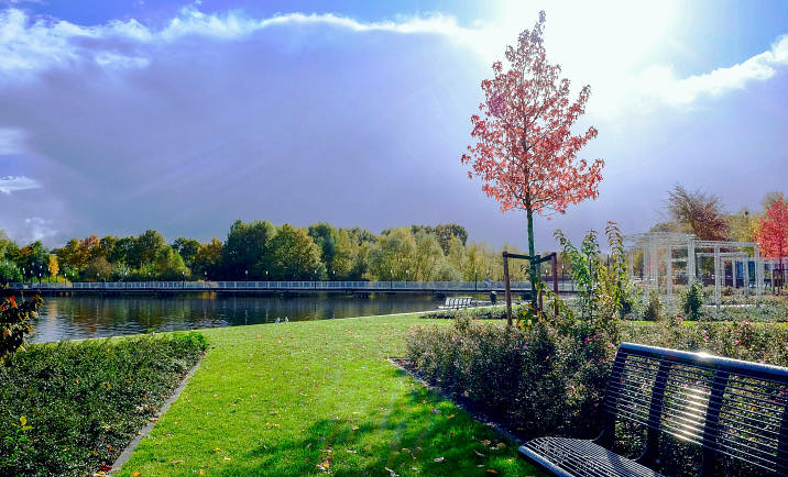 A lakeside garden that is maintained by a landscaping business.
