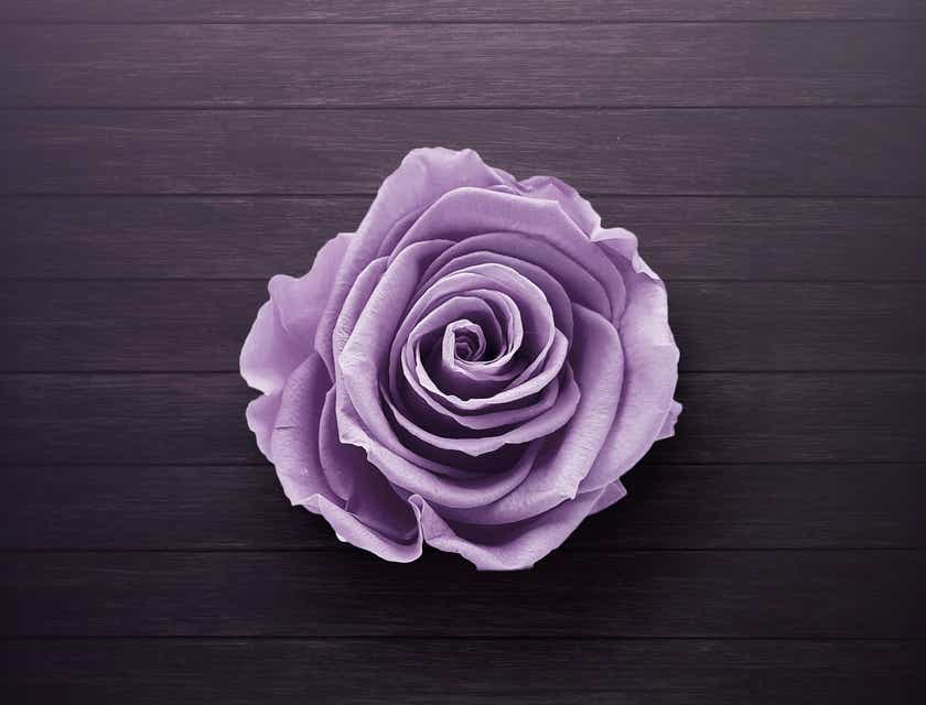 Lawendowa róża na fioletowej, drewnianej powierzchni.
