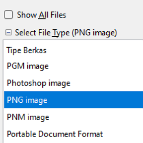 Pilih format file.