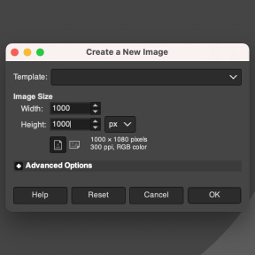 Defina o tamanho da imagem.