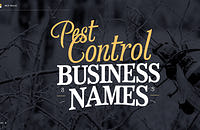 Pest control business name ideas created with Zarla