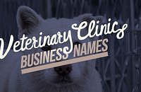 Veterinary Clinic Business Name Ideas created with Zarla