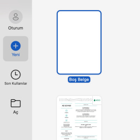 Boş bir belge açın.