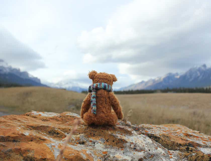 An adorable teddy bear facing a mountain view.
