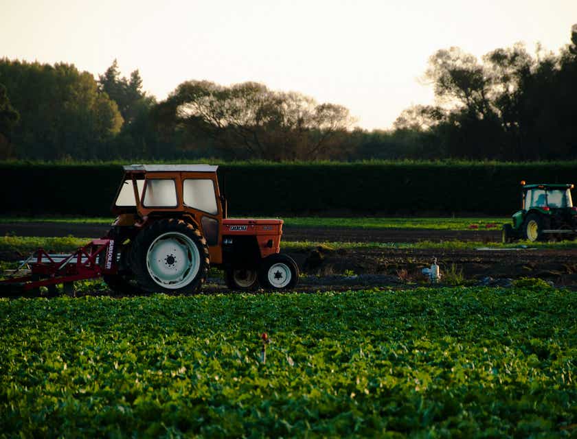 Traktor di lapangan yang bekerja di industri pertanian.
