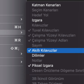 Akıllı Kılavuzları etkinleştirin.