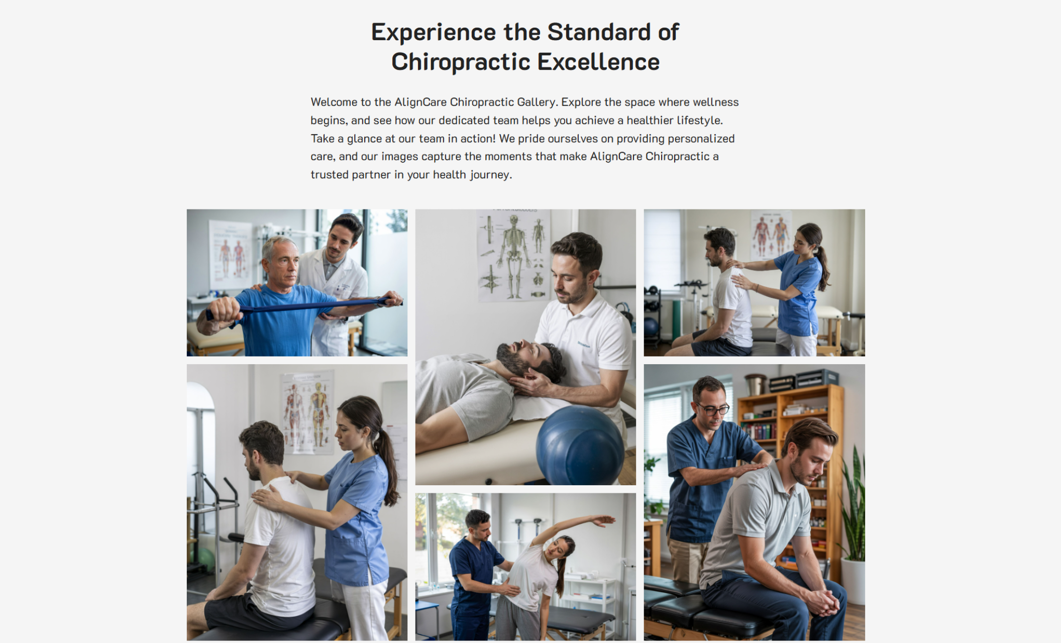 Gallery page on AlignCare Chiropractic titled “Experience the Standard of Chiropractic Excellence,” featuring a grid of diverse treatment photos, showing various therapists working with clients in clean, professional spaces