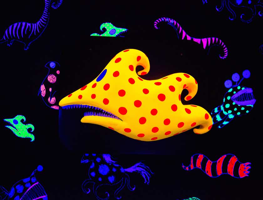 Una animación increíble y colorida de un pez nadando en una pecera en un logo de un estudio de animación.