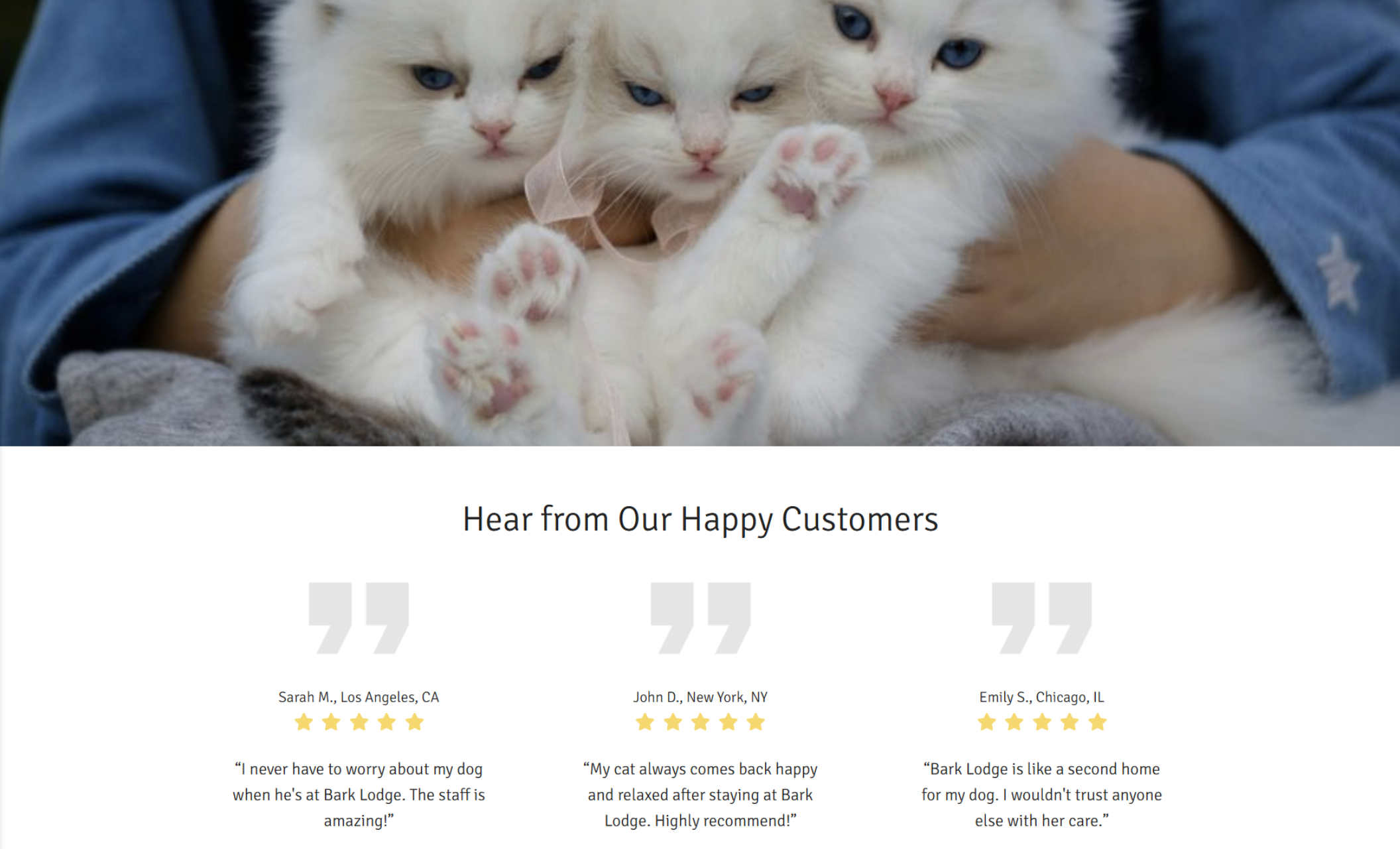 Bark Lodge testimonials section titled "Hear from Our Happy Customers" displayed below an image of three white cats with blue eyes