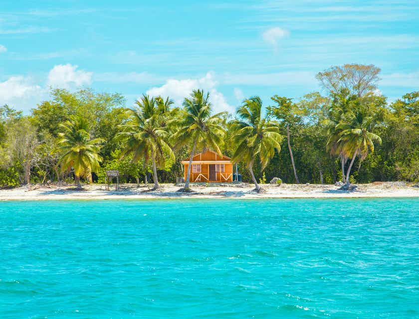 Une maison de location de plage nichée entre les palmiers d'un front de mer.